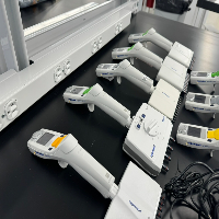Eppendorf Xplorer Multichannel Pipettes - Quantity 8 image 2
